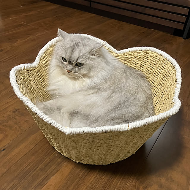 chokoさんの実例写真