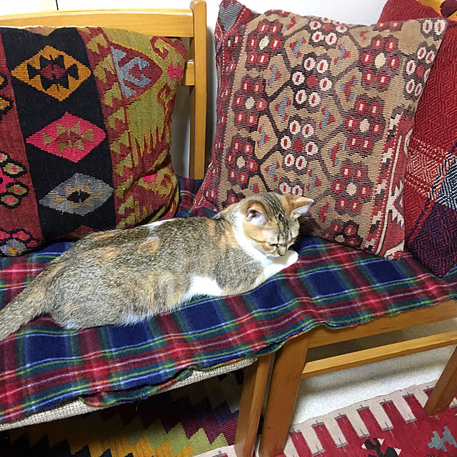Lankaさんの実例写真