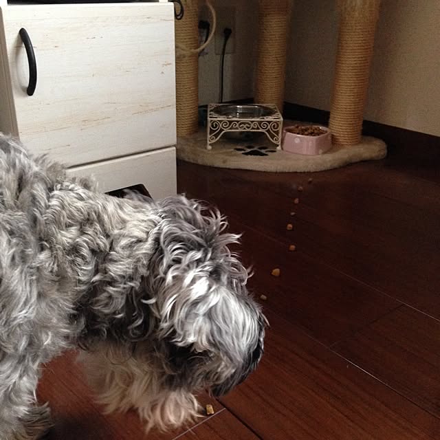 framさんの実例写真