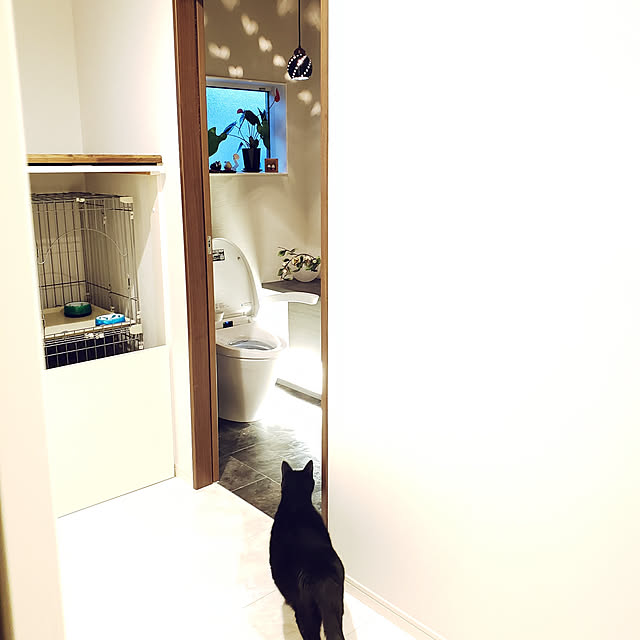 zenoさんの実例写真