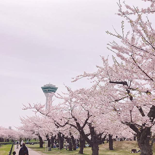 Megumiさんの部屋