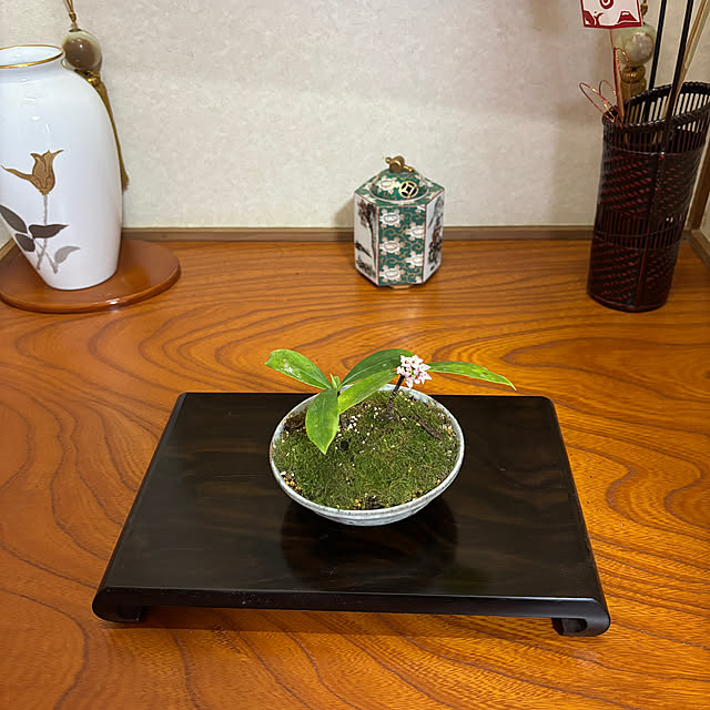 chIoeさんの実例写真