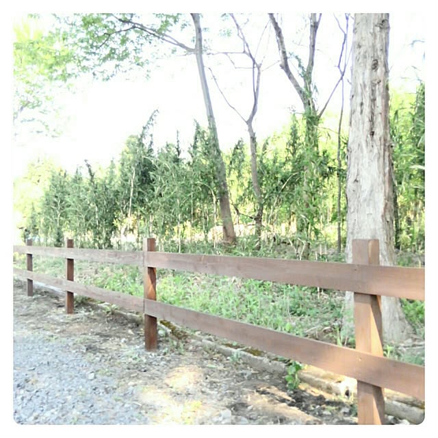 mayutan.さんの実例写真