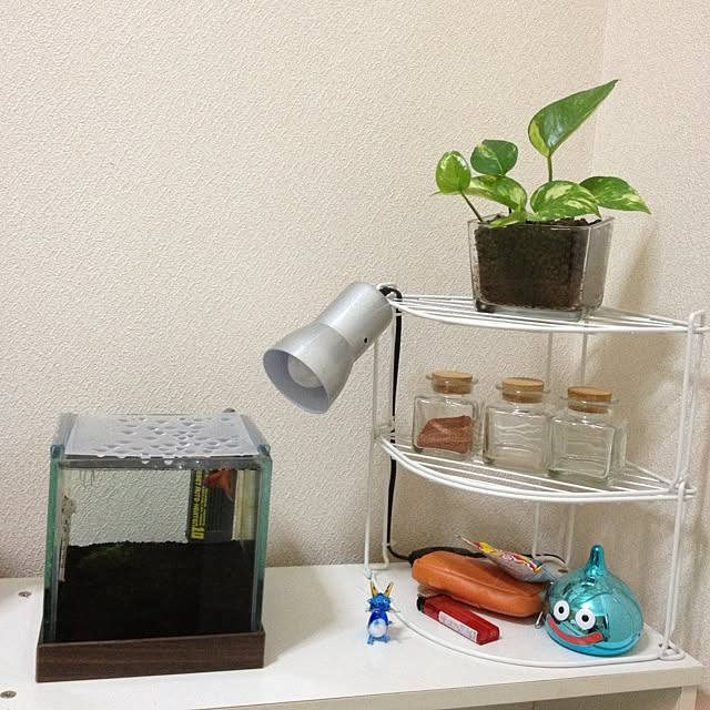 L.さんの実例写真