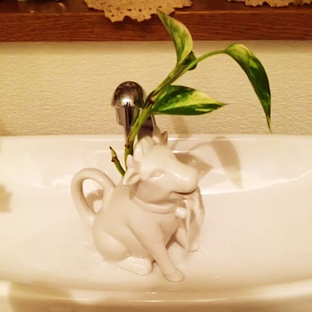 Yunさんの実例写真