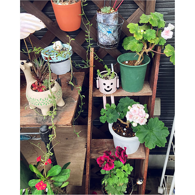 CoCo0617さんの実例写真