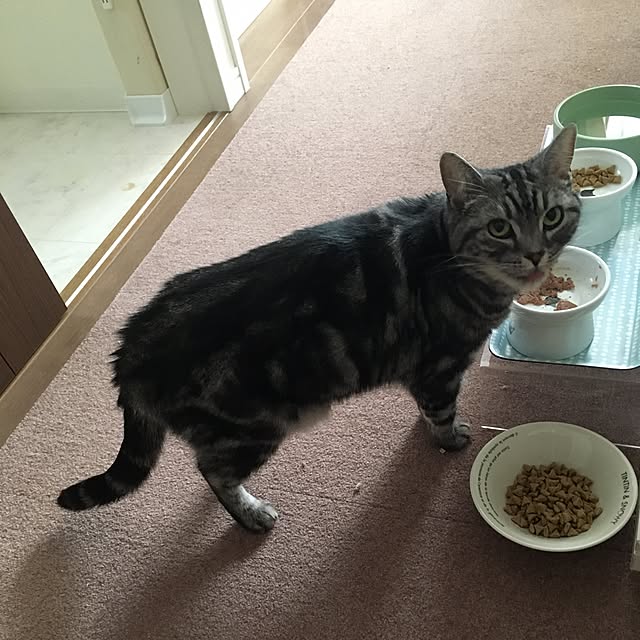 mikomaruさんの実例写真