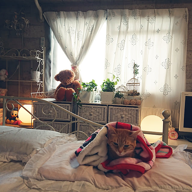 asuminさんの実例写真