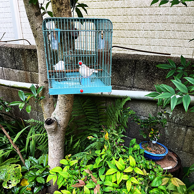 norikoさんの実例写真