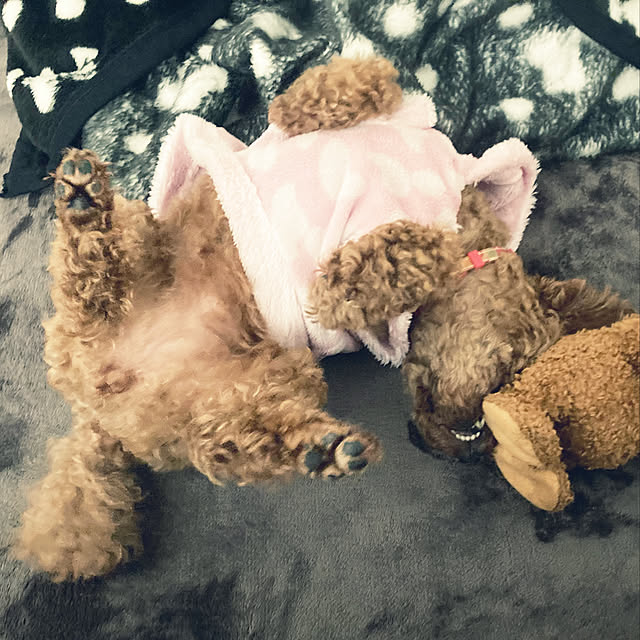 MOMOMAMAさんの実例写真