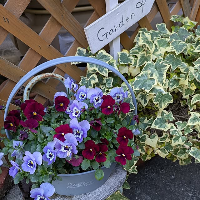 santamaruさんの部屋