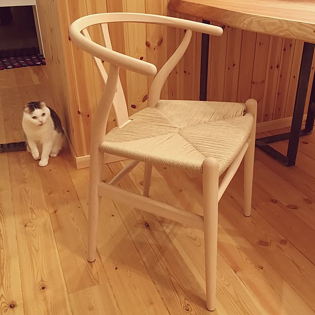 necodakakarichoさんの実例写真