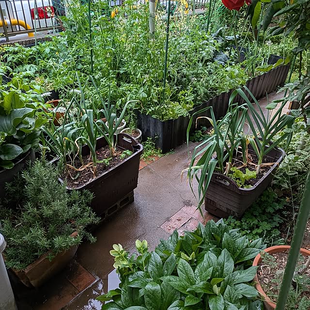 botanさんの実例写真