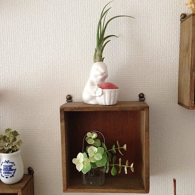 mojyaさんの実例写真