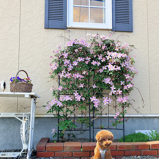 nahhoさんの実例写真