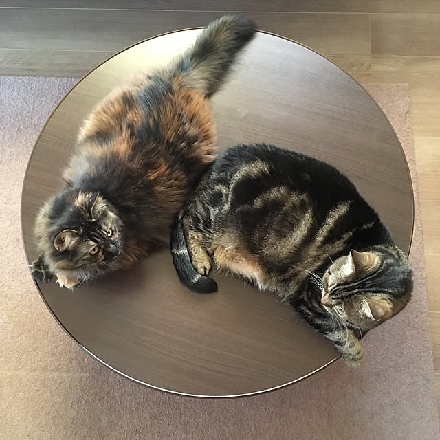 mikomaruさんの実例写真