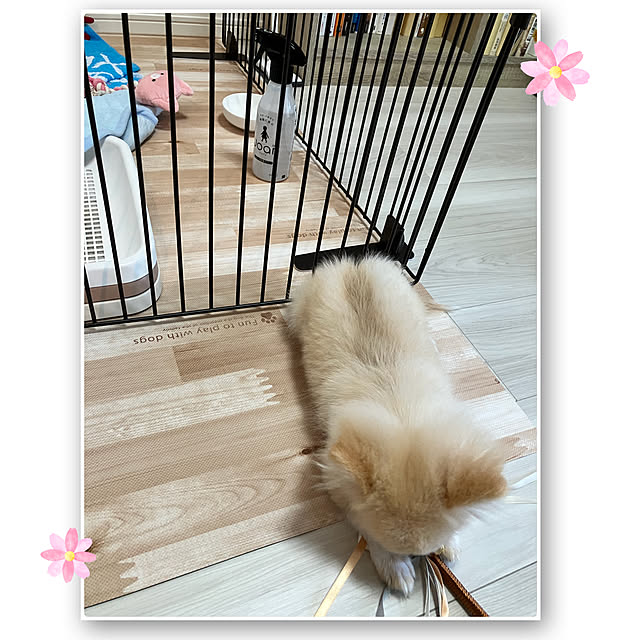 Remonさんの実例写真