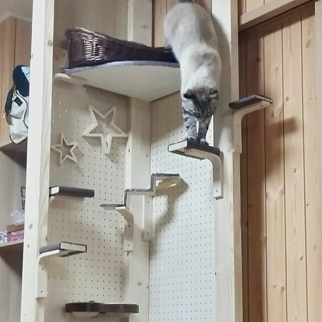 sakiさんの実例写真
