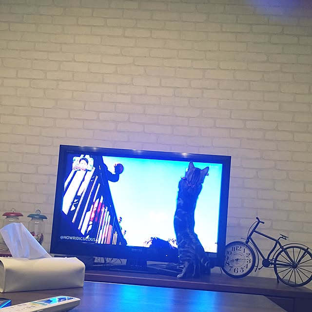 gaacoco37さんの実例写真