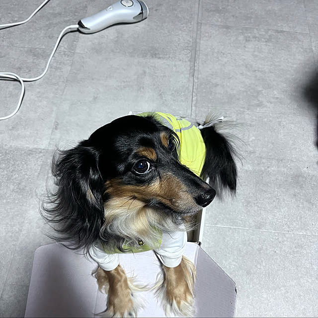 Rujuさんの実例写真