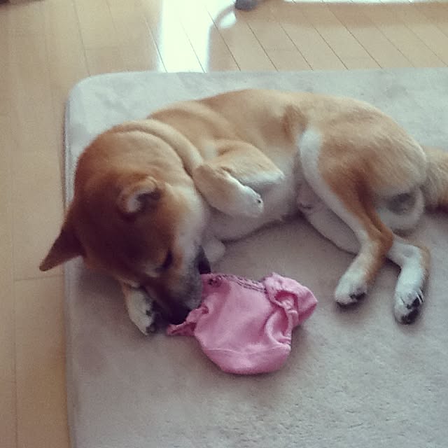 kotaさんの実例写真