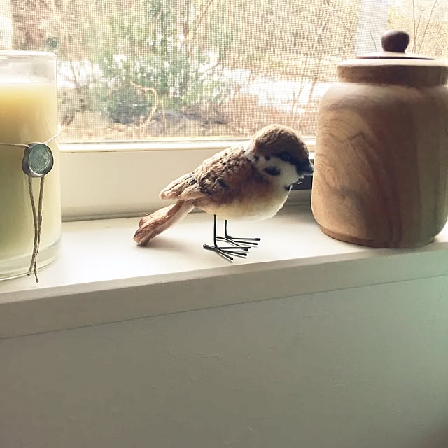 pariさんの実例写真