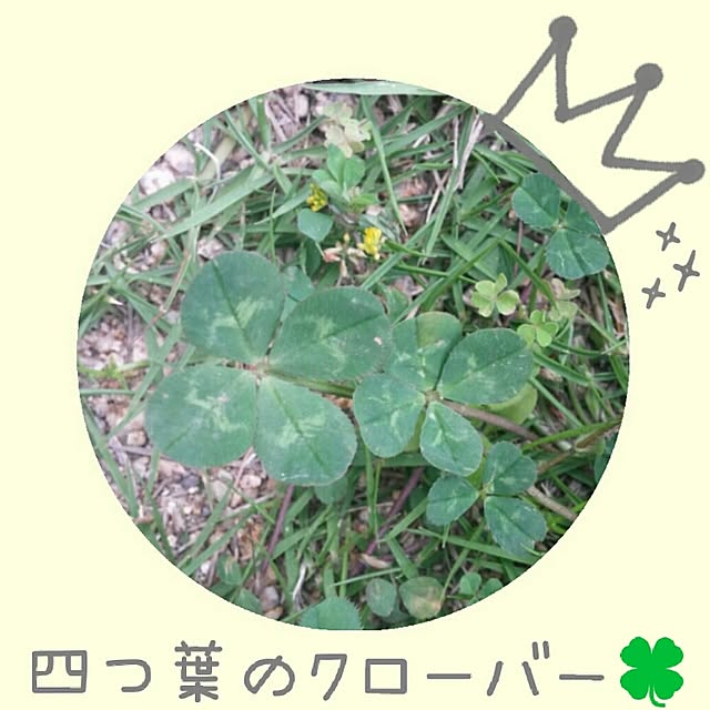 milkさんの実例写真