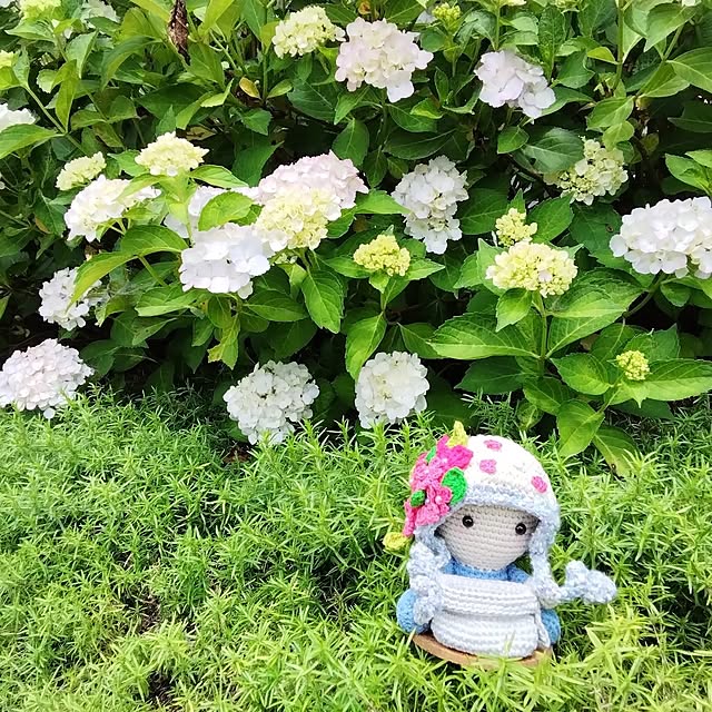 fujiyayuさんの部屋