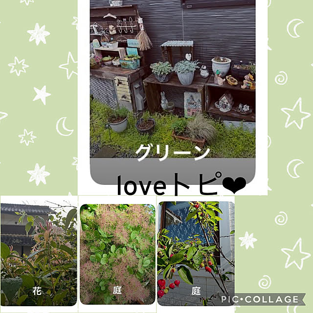 CoCo0617さんの実例写真