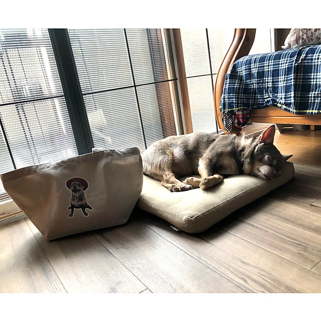 shippoさんの実例写真