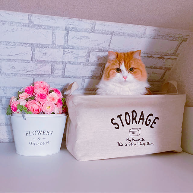 H.Tさんの実例写真