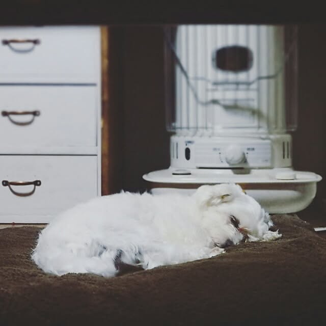 yukiさんの実例写真