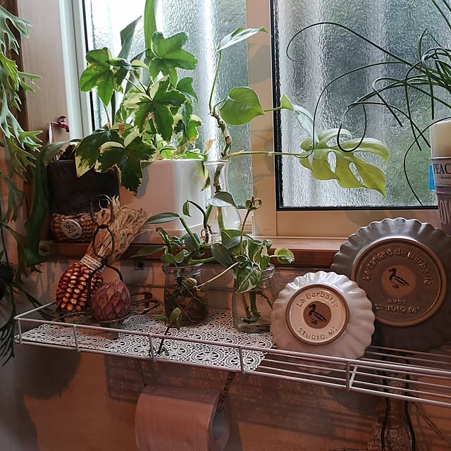 akiさんの部屋