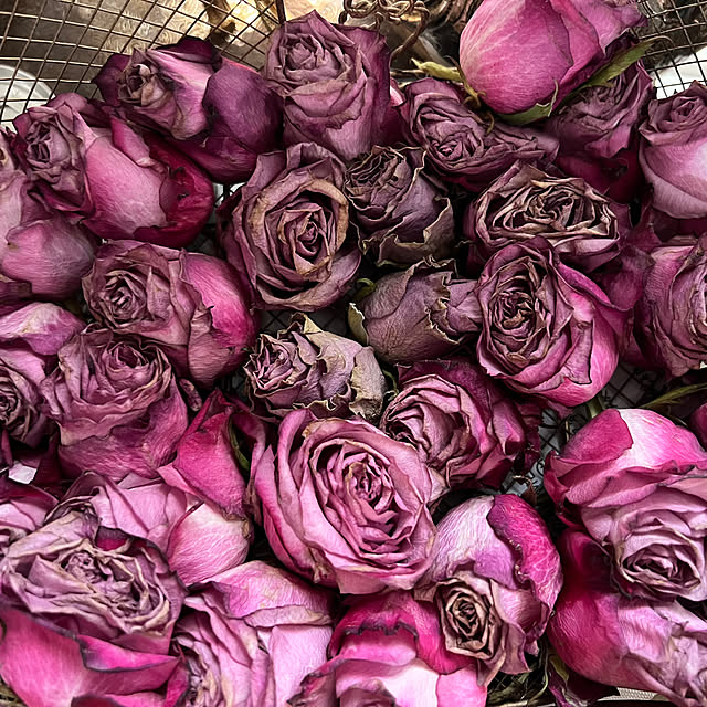 AYUKOさんの実例写真