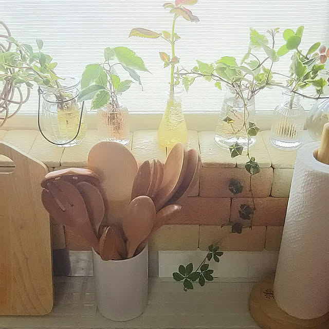 naopyiさんの実例写真
