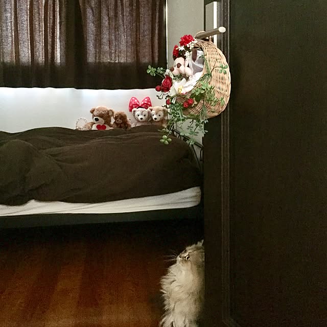 butachanさんの実例写真