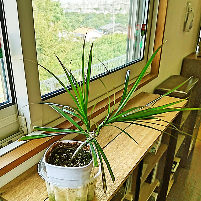 akiradesuさんの実例写真