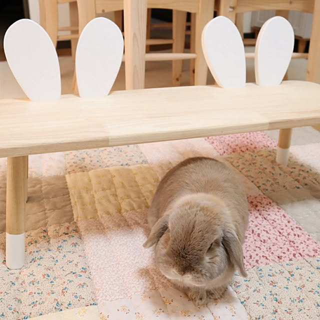 naominさんの実例写真