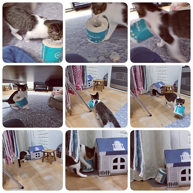 akimameさんの部屋