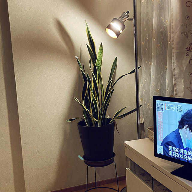 reeさんの実例写真