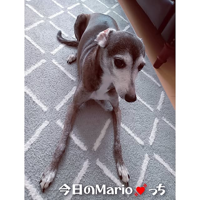 moruさんの部屋