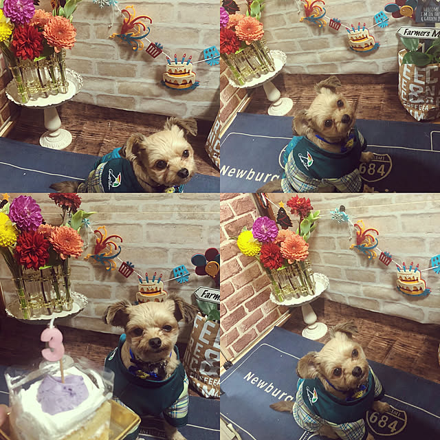Kaiさんの実例写真