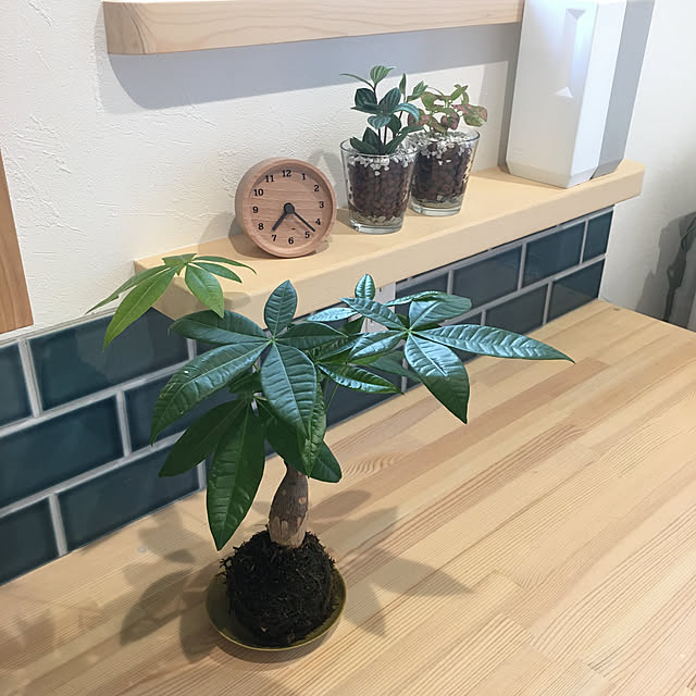 The_Natural_homeさんの実例写真
