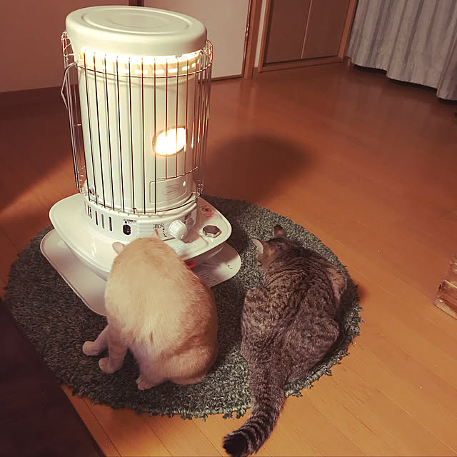 mikan161さんの実例写真