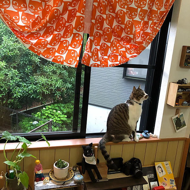 jijiさんの実例写真