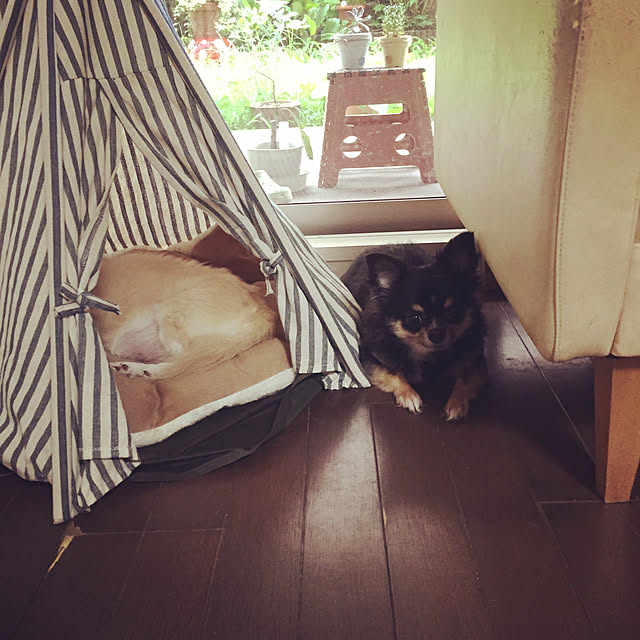 mitonさんの実例写真