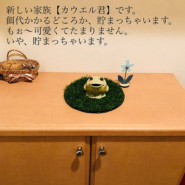 ruri35さんの実例写真
