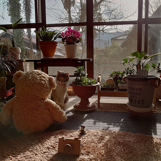 fukuさんの実例写真