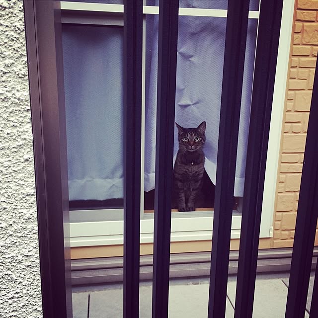 mky2580さんの実例写真