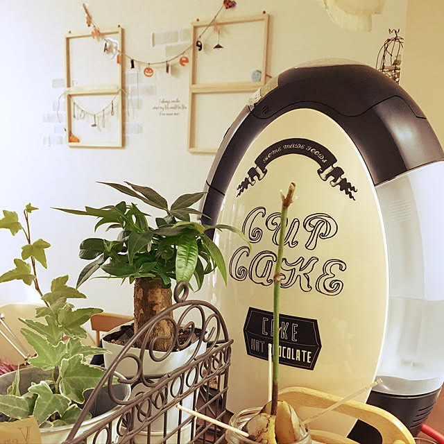 NaturalMarbleYoghurtさんの実例写真